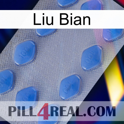 Liu Bian 21